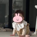 쌍둥이네 애견 | 내돈내산 층간소음매트 | 봄봄매트 마블스노우 시공 후기