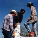 돔하우스 이미지