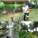 금메달농장 이미지