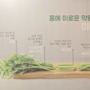 비타민샤브칼국수