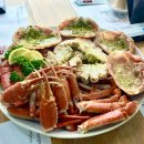 속초 맛집 베스트10
