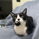 식빵공장 이미지