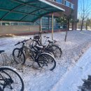 죽전문점-본가진죽 본점 | 취준생(인턴) 일상 6 피곤하고 아프고 지치고 괴롭고