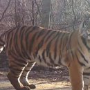 성마루농장 이미지