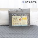 대신의료기 | 전자파 걱정 끝! 6만원대 한일의료기 탄소매트 싱글 프리즘, 캠핑부터 자취방까지 꿀잠 필수템