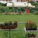 김포 자연 농장 이미지