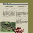 보늬숲밤농장 이미지