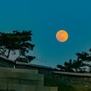 수원-0390 Daum카페