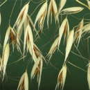 (유)큐리더 이미지