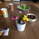 우포따오기 사진전 이미지