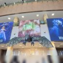 뮤지컬 동화 아트(Art)(B) | 뮤지컬 위키드 오리지널 내한공연 대구 공연 후기, 계명아트센터 자막 시야 커튼콜 MD