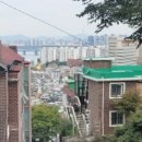 셀타운 네이버블로그