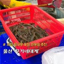 제철대게전문점 | 제철 활새우 울산 삼산동 꾸기네대게 포장 후기