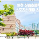 인천신송초등학교 이미지