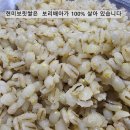 햇 검정찰보리쌀/녹색보리/겉보리쌀 50% 맛보기이벤트 이미지