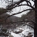 관악산입구 이미지