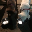 경은상회 이미지