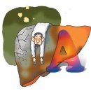 New body PT gym 이미지