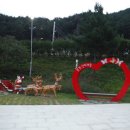 할버지민박 Daum카페