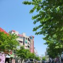 신명안경원 네이버블로그