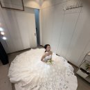 디아존 | W07. 루미디아 드레스 계약후기(추가금O)