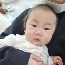 승락차주방 | [육아] 첫 독감주사 그리고 3차 6가 종합접종