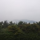 달아항 앞 이미지