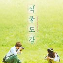 식물도감 티스토리