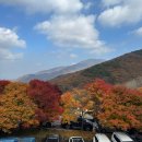 지리산 등산코스/ 천왕봉vs노고단/주차/소요시간/예약...가다가 노고단으로 바꾼후기_단풍시기 국내여행