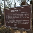 옛한옥마을