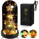 산타와 미니 이미지