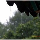 쌍둥이 펜션 이미지