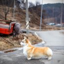 sonny 이미지