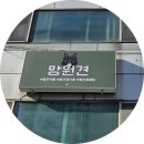 망원견 애견유치원&애견호텔 | 망원동 애견유치원 [망원견],유치원 입학 및 애견호텔 후기!
