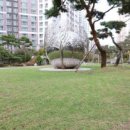 솔터초교 이미지