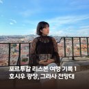 노래하는분수대 광장 | 포르투갈 리스본 여행 기록 1일차 : 호시우 광장, 그라사 전망대, 해물밥 맛집 추천