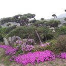 양산농장 이미지