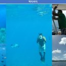 요라나 이미지