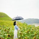 숲속 짱구네 이미지