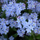 달빛에 물들이고 이미지