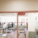 반려견스타일리스트 자격취득과정-기초 이미지