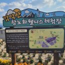 번개걷기(10월29일)- 거창 감악산 꽃&별 언덕 1 이미지