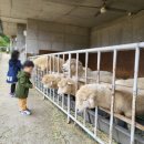 사계절목장 이미지