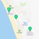 페리카나 대천해수욕장점 이미지