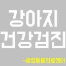 광장동물병원 이미지