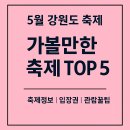 가락4리 | 🌸 2025년 5월, 강원도에서 꼭 가봐야 할 축제 TOP 5