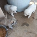 상계하나로약국 이미지