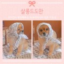 살롱드도만