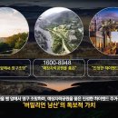 버밀리언 이미지