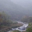 깊은골캠핑장 이미지